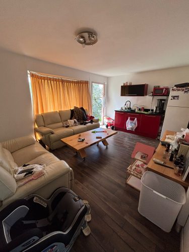 יחידת דיור (צימר) 2 חדרים להשכרה במושב חמד, ברחוב הזית 14. נכס משופץ עם חצר גדולה, סביבה פסטורלית ושקטה ונגישות מצוינת לכביש 1 ולכל אזור המרכז. מספר נכס 371.