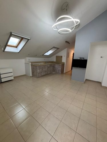 יחידת דיור 2 חד' להשכרה במושב צפריה, רחוב התאנה 226. 50 מ"ר, קומה ראשונה, משופצת במצב מעולה, כניסה נפרדת, גינה פרטית וחניה. גישה מהירה לכביש 1 ונתב"ג. כניסה מיידית. מס' נכס 348.